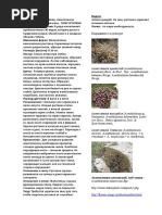 Odaau Danoaiey Yoediua Ianea Iieuca Aioiaea Iaaey Iaadaa Arhum Ru Forums