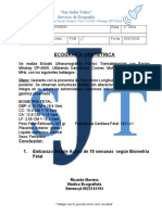 Informe Ecografico