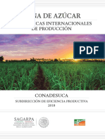 Caña de Azúcar: Estadísticas Internacionales de Producción
