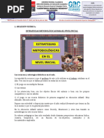 Estrategias Metodológicas para El Nivel Inicial
