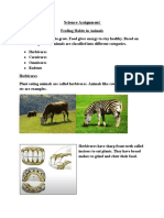 Science Assignment: Herbivores Carnivores Omnivores Rodents