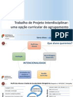 Apresentacao TPI OpcaoCurricularAEOH Jan 2019