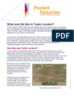 life-in-tudor-london-pocket-history