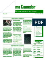 folleto-palma-camedor.pdf