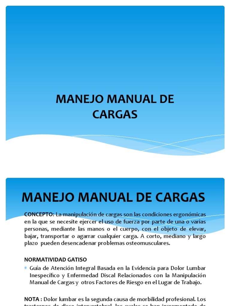 Manejo Manual de Cargas | PDF | Dolor lumbar | Factores humanos y ergonomía
