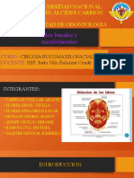 CIRUGIA  MUSCULOS  BUCALES Y MAXILOFACIALES.pptx