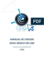 Manual Baìsico On Line 2020