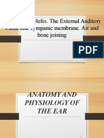 The Ear. The Helix. The External Auditory Canal and Tympanic Membrane. Air and Bone Joining