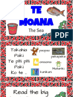 Te Moana IV