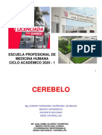 Cerebelo 2020-1 PDF