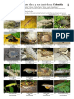 676 Reptiles de Santa Marta v2 0 PDF