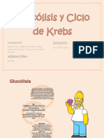 Glucólisis y ciclo de Krebs