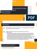 Farmakognosi Simplisia Mycophyta Part 2