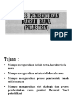 01-Proses Pembentukan Rawa (Palustrin)