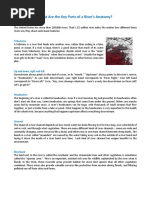 Understanding Rivers: Types and Features | PDF | Stream | River