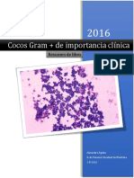 Cocos Gram de Importancia Clinica PDF
