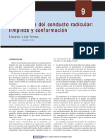 TEMA (1).pdf