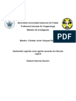 Proyecto Final 5 PDF