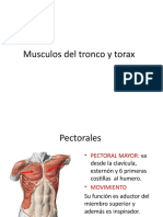 MUSCULOS DEL TRONCO Y TORAX