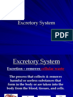 Ang Tunay Na Excretory System