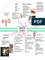 Embarazo Ectopico