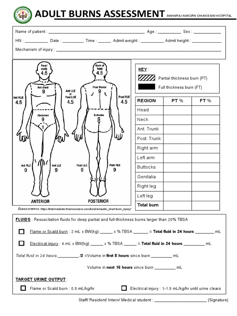 Burn Assessment CMU PDF PDF Burn Health Sciences