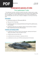 Endangered Species of India: The Leatherback Turtle