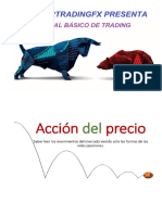 Manual Basico de Trading PDF