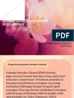 PP Konsep Gangguan Sistem Reproduksi