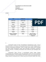 Beda Upper Motor Neuron