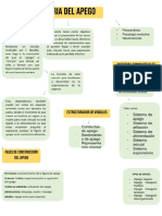 Organigrama Sobre Teorías Del Apego