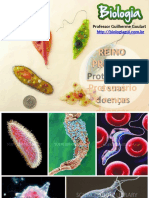 protozorioseprotozooses-130521160639-phpapp01-convertido
