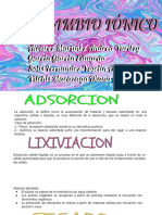 Intercambio Ionico PDF
