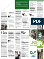 4 Plegable-BPG-ICA (1).pdf