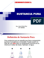 02 Sustancia Pura PDF