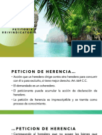 Accion Petitoria y Reivindicatoria PDF