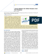 Nanoparticle Surface Charge Mediates The Cellular Receptors Used by Protein Nanoparticle Complexes