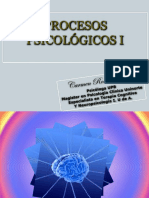 Introducción A Los Procesos Psicológicos PDF