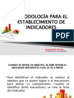 Metodologia para El Establecimiento de I