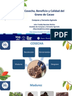 Cosecha, Beneficio y Calidad Del Grano de Cacao. CNCH 24.04.2020. John Freddy Bautista