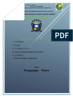 Oxapampa - Pasco: Programa de Estudios Ingeniería Ambiental