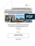 Biomass in DH 2014 PDF