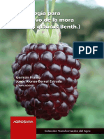 Libro Buenisimo para Mora PDF