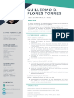 CV Guillermo Flores Torres PDF