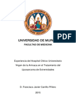 Francisco Javier Carrillo Piñero Completa PDF