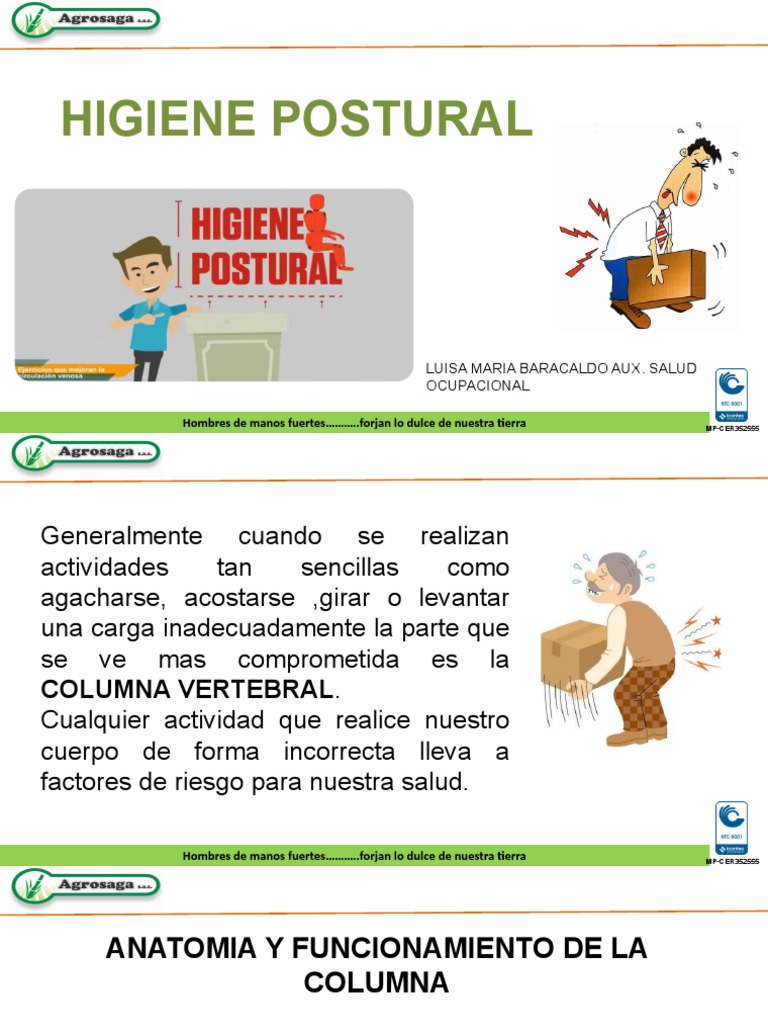 Higiene Postural para la Columna Vertebral | PDF | Dolor lumbar | La ...