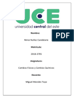 Practica Cambios Fisicos y Cambios Quimicos