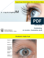 Lapsus Pterygium Chels