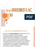 Biorremediacion 130424163439 Phpapp02