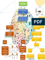 Mapa del conductismo.pdf